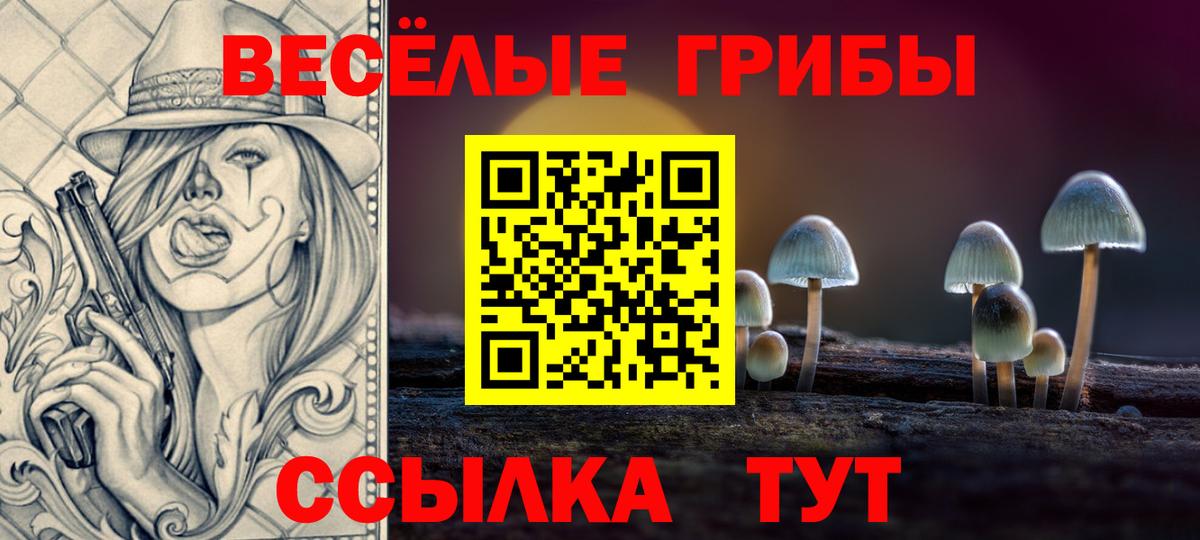 Галлюциногенные грибы GOLDEN TEACHER  Вход с VPN  Котельники 