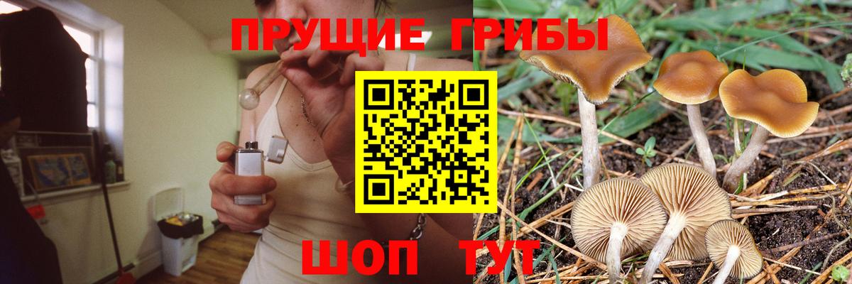 Псилоцибиновые грибы мицелий Котельники